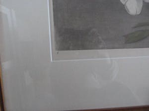 Frans Everbag - Magnolia’s in groene gemberpot. kopen? Bied vanaf 145!