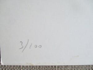 Henk Visch - Litho kopen? Bied vanaf 80!