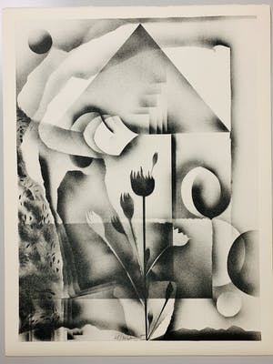 Gislain Dussart - Tulips kopen? Bied vanaf 10!