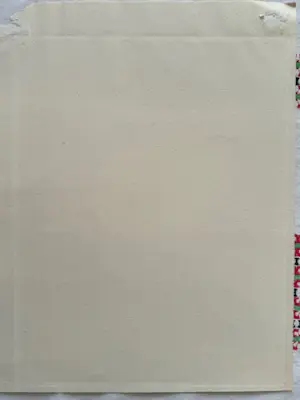 Henk Voskuyl - Magnolia kopen? Bied vanaf 35!