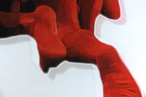 Niet of onleesbaar gesigneerd - Foto op dibond achter acrylglas, Twee rode figuren (Groot formaat) kopen? Bied vanaf 1!