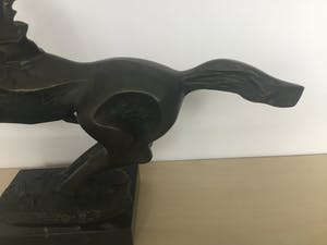 Brons (Onbekend) - Paard kopen? Bied vanaf 60!
