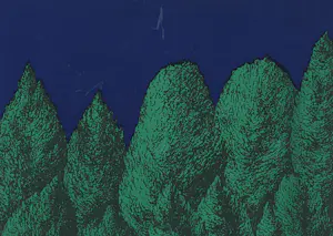 Geert Mols - Wie zoekt den Dollen Dries kopen? Bied vanaf 80!