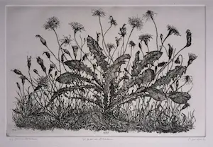 Willem Minderman - paardenbloemen kopen? Bied vanaf 10!