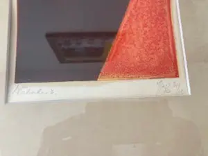 Johan Christiaan Jacobus van Schagen - Rood met zwart kopen? Bied vanaf 30!