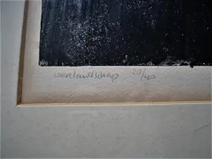 Ru van Rossem - Magnifieke 1962 handgekleurde Ets "Oerlandschap" kleine oplage (28/40) potloodg kopen? Bied vanaf 38!