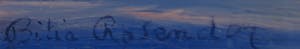 Bitia Rosendor - Acryl op doek, Zonsondergang kopen? Bied vanaf 1!