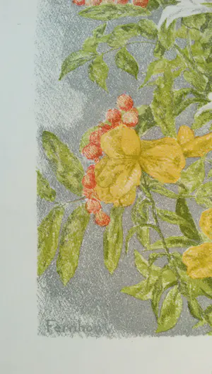 Edgar Fernhout - Bloemen, litho - Gratis verzending! kopen? Bied vanaf 50!