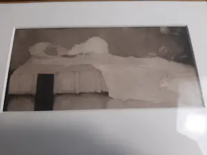 Jan Mankes - Heliogravure " Witte muizen op perkamenten boek " kopen? Bied vanaf 120!