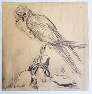 Jan Schonk - Kuikendief verkocht voor € 100!