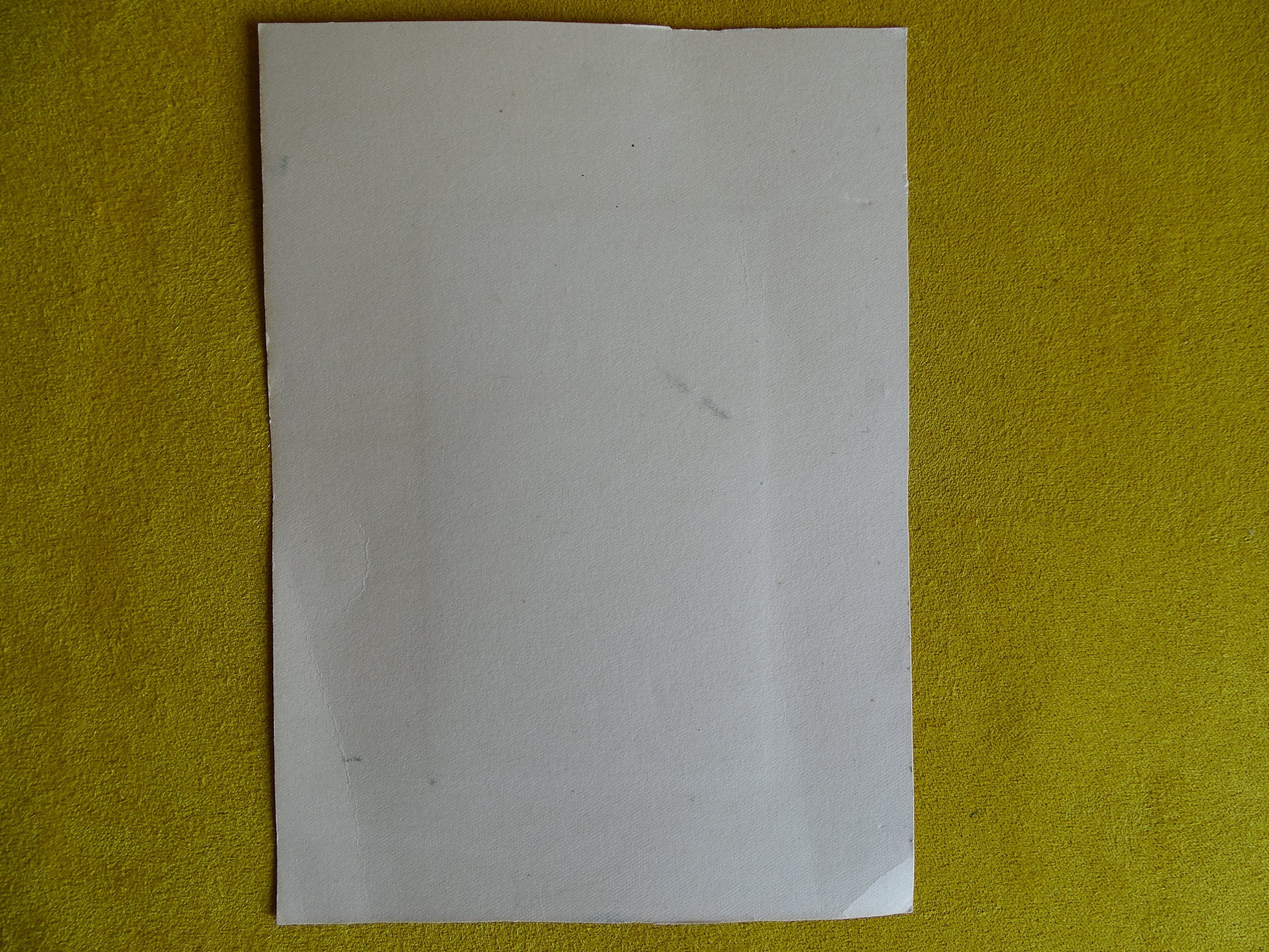Aart van Dobbenburgh - Uil, Litho kopen? Bied vanaf 1!