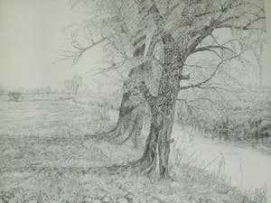 Cees Schellenberg - Tekening - Mariapolder Dordrecht kopen? Bied vanaf 60!