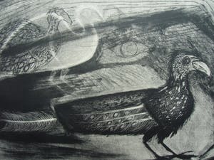 Jan Bezemer - ARGUSVOGEL /// LITHO VAN JAN BEZEMER kopen? Bied vanaf 50!