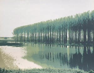 Martin T.J.M van de Laar - landschappelijk tweeluik | zeefdruk - ingelijst kopen? Bied vanaf 39!