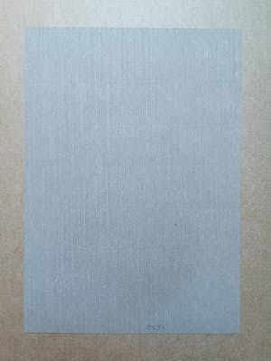 Niet of onleesbaar gesigneerd - Handgesigneerde lithografie kopen? Bied vanaf 1!