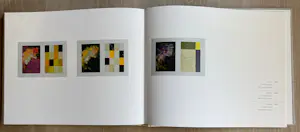 Bert Loerakker - zonder titel kopen? Bied vanaf 40!