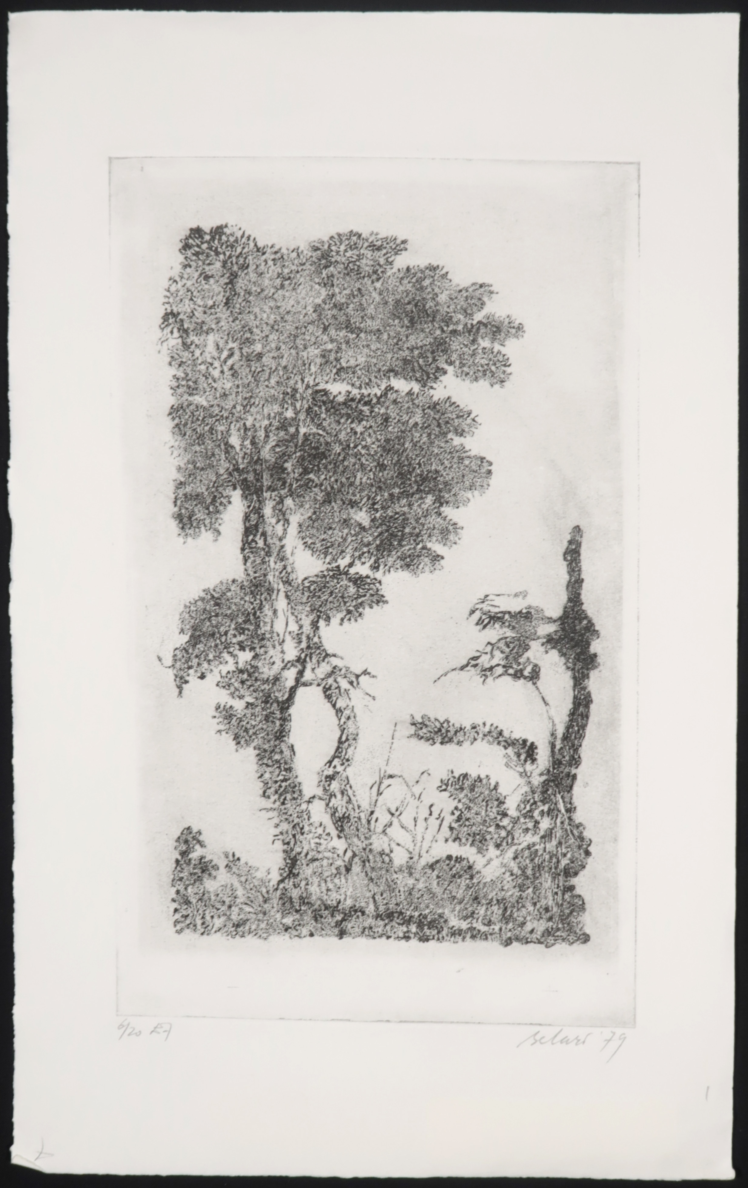 Gerard Bellaart - Lotje (D) met 6 etsen op papier kopen? Bied vanaf 1!