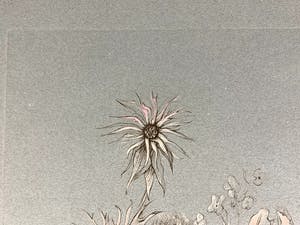 Leonor Fini - Fille parmi les fleurs kopen? Bied vanaf 25!
