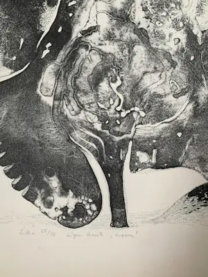 Georg Hadeler - Litho Droom - 1966 - nr. 55/75 kopen? Bied vanaf 35!