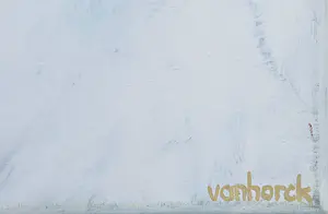 Hans Vanhorck - Olieverf op doek, Abstract image kopen? Bied vanaf 1!