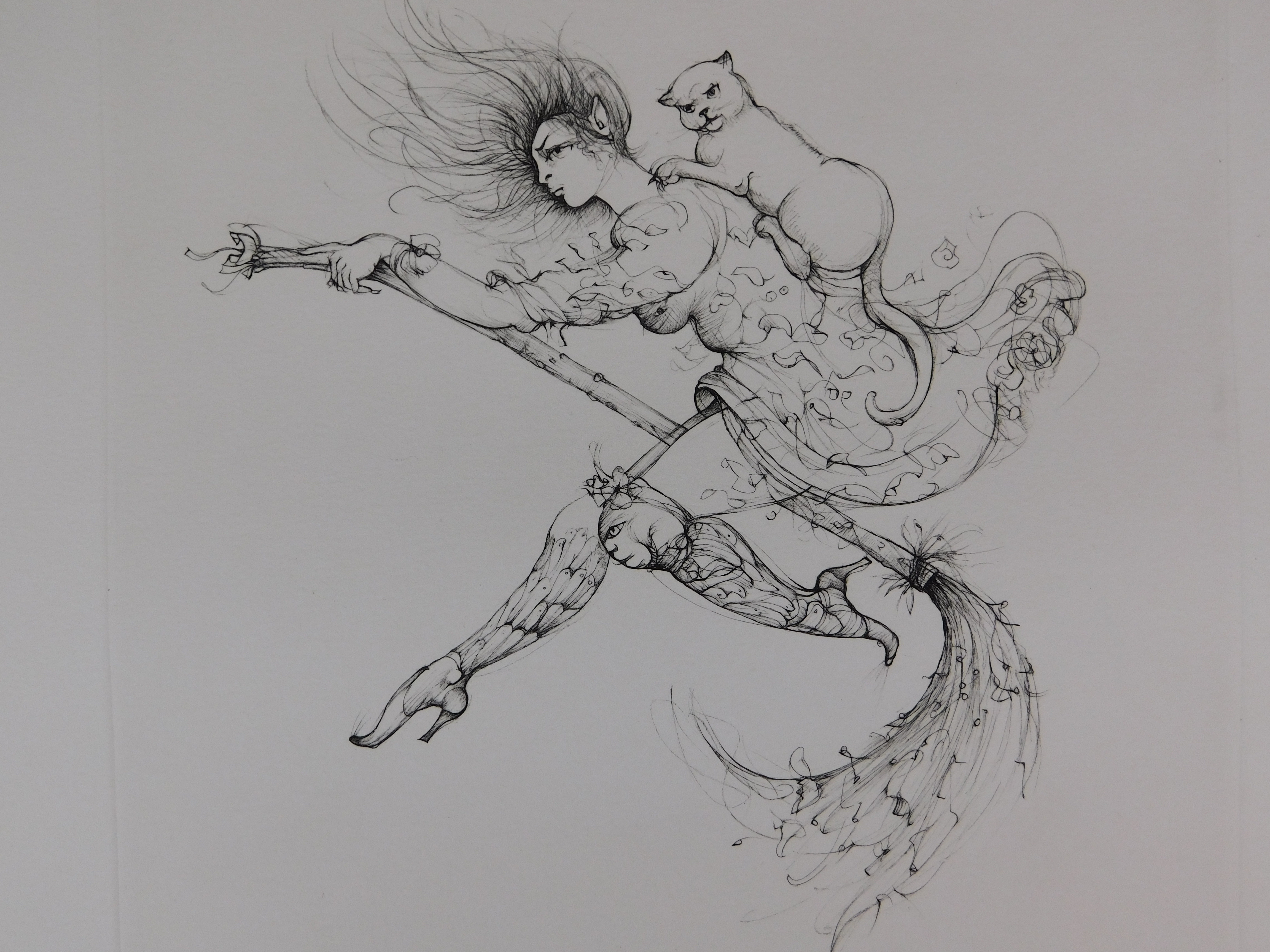 Leonor Fini - La Sorciere sur le Balai verkocht voor € 60!