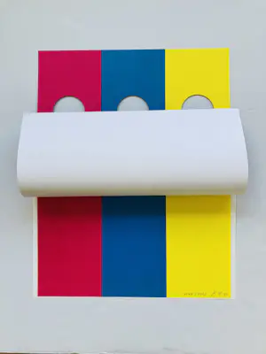 Roy Villevoye - Vouw/Fold kopen? Bied vanaf 115!