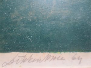 Daniel den Dikkenboer - Vogels 1964. kopen? Bied vanaf 120!