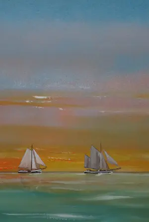 Franklin Meijer - Waddenzee - Bruine Vloot kopen? Bied vanaf 99!