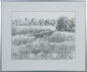 Bernard Koelman - Pentekening, Gras en graan - Ingelijst kopen? Bied vanaf 1!