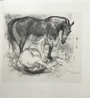 Piet Klaasse - Paarden, proefdrukken offsetlitho, 2-zijdig bedrukt, gesigneerd in druk kopen? Bied vanaf 20!