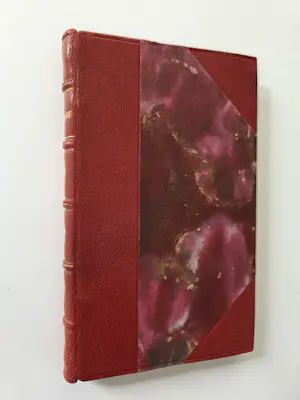 Felicien Rops - Frontispice. Heliogravure. Uit beroemd boek. kopen? Bied vanaf 275!