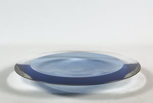 Carina Riezebos - Optisch glazen disk kopen? Bied vanaf 50!