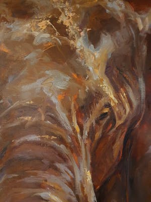 Mieke Robben - Olifant die naar links kijkt kopen? Bied vanaf 400!