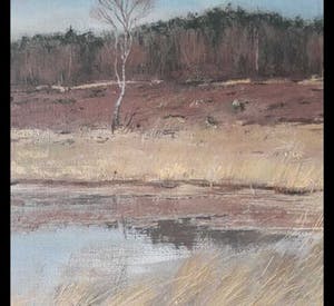 Niet of onleesbaar gesigneerd - Heidelandschap, gesigneerd. kopen? Bied vanaf 10!