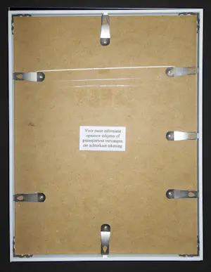 Jaap Luteyn - Schelpen kopen? Bied vanaf 175!