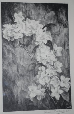 Aart van Dobbenburgh - Litho - Bloesemtak -1977 kopen? Bied vanaf 35!