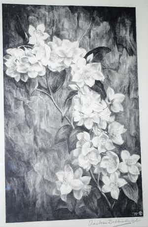 Aart van Dobbenburgh - Litho - Bloesemtak -1977 verkocht voor € 35!