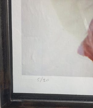 Julia Winter - pizography ‘Victory’ - 2016 kopen? Bied vanaf 150!