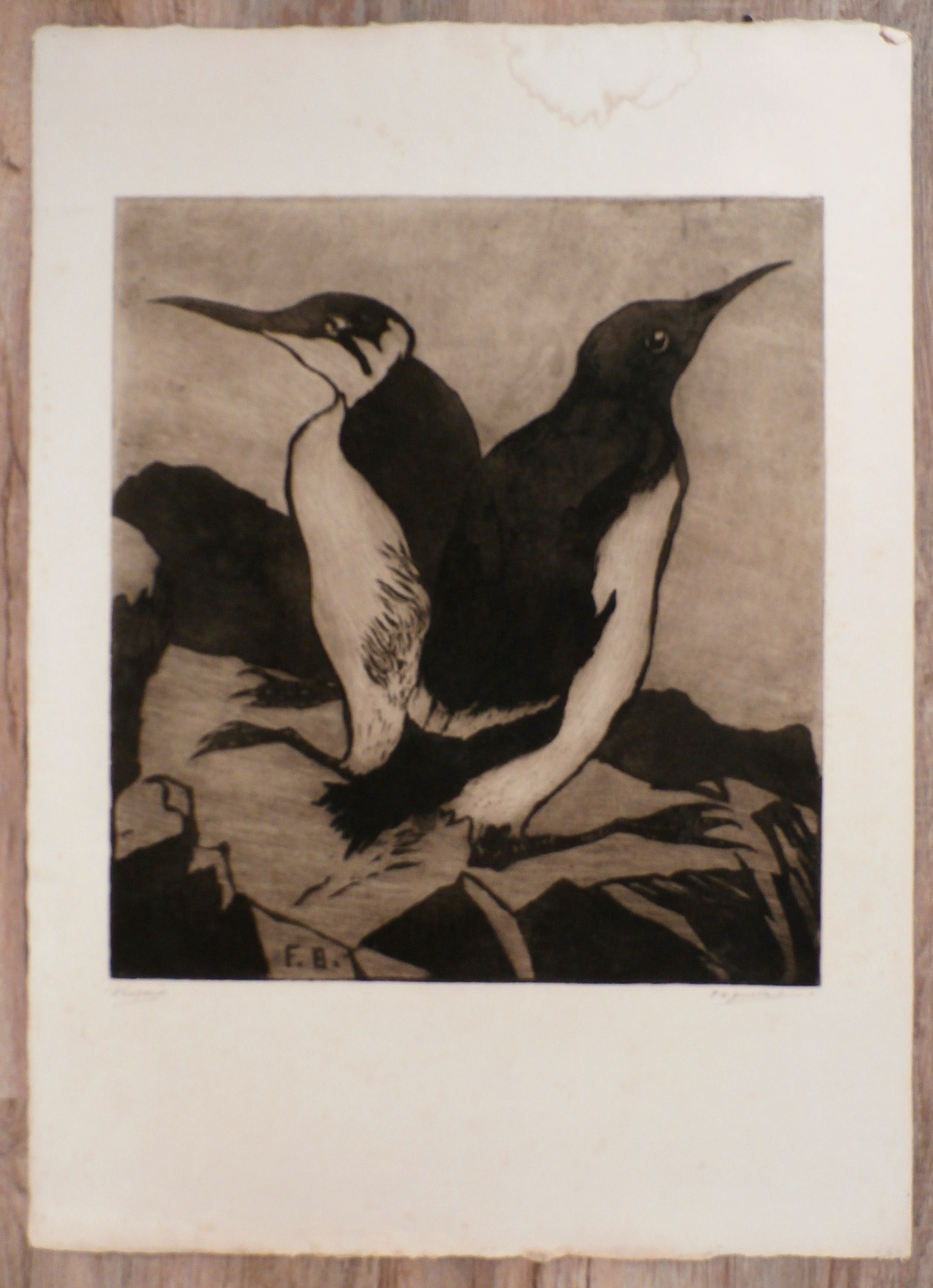 Frederika Broeksmit - ets: pinguins kopen? Bied vanaf 45!