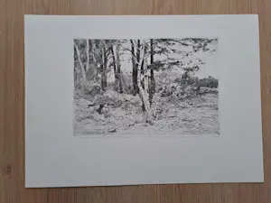 Theo Beerendonk - Duinlandschap kopen? Bied vanaf 25!