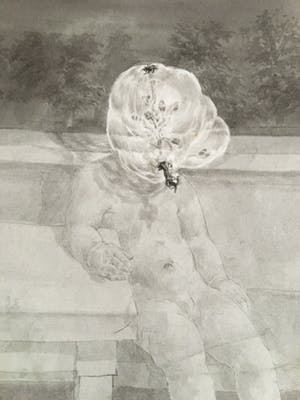 Peter Vos - Boomman kopen? Bied vanaf 80!