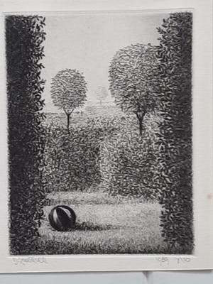 Dolf Zwerver - Zonder titel kopen? Bied vanaf 80!