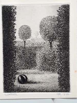 Dolf Zwerver - Zonder titel verkocht voor € 80!