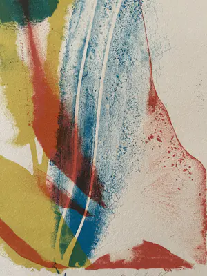 Paul Jenkins - Seeing Voice, Welsh Heart kopen? Bied vanaf 290!