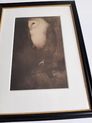 Jan Mankes - Originele Heliogravure Uil op Boomtak 1923 kopen? Bied vanaf 120!