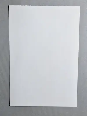 Marion Bloem - Karakteristieke Litho - oplage 100 - moeder en kinderen - potloodgesigneerd kopen? Bied vanaf 25!