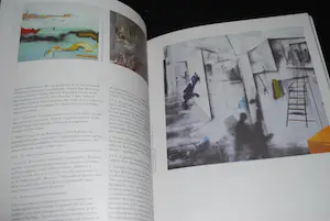 Constant - 5 boeken kopen? Bied vanaf 60!