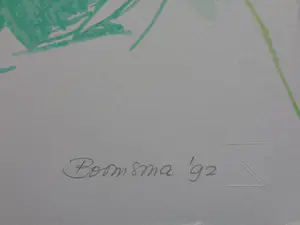 Marijke Boomsma - PHILADELPHIA LION / KLEURZEEFDRUK / 99x70cm / SIG / 1992 kopen? Bied vanaf 25!