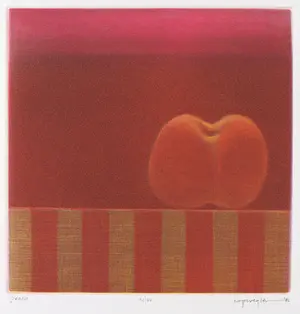 AcheterJoop Vegter - Mezzotint, Peach? Enchérissez de 60!
