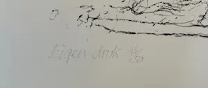 Willem den Ouden - De Waal - twee litho's kopen? Bied vanaf 40!